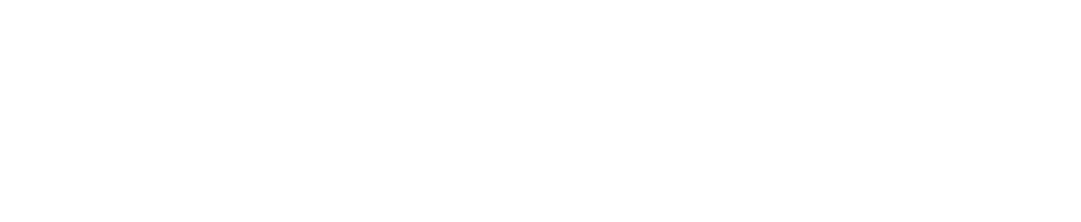Biznesa Menedžments